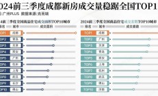 北上广深最畅销车型TOP10